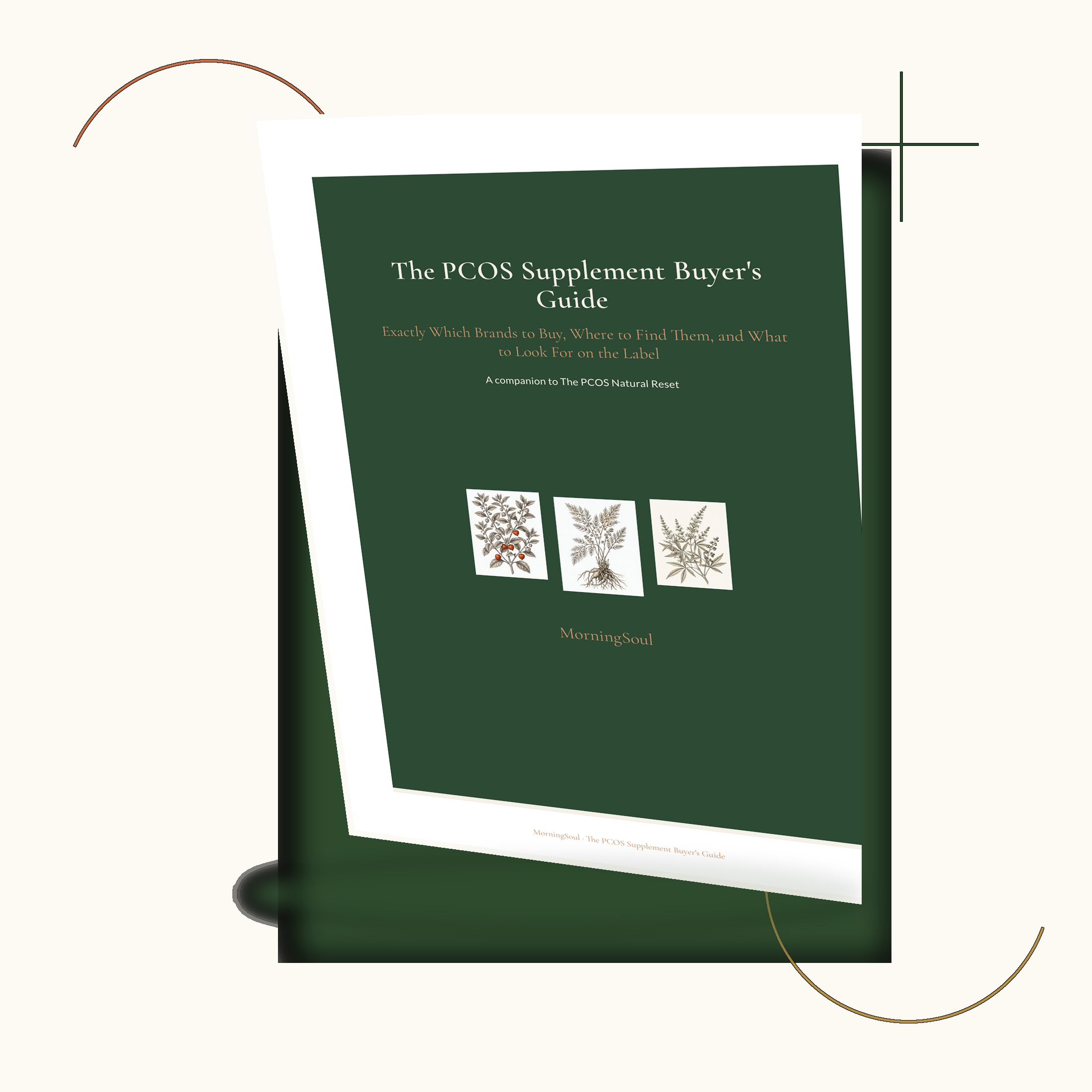 The PCOS Supplement Buyer's Guide